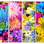 72 DIY Printable Flower Bookmarks High Resolution Images