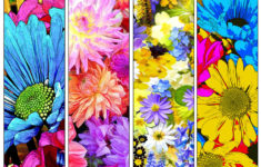 72 DIY Printable Flower Bookmarks High Resolution Images