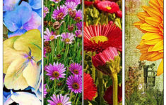 72 DIY Printable Flower Bookmarks High Resolution Images