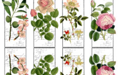 Free Printable Bookmarks With Butterfly The Graphics Fairy