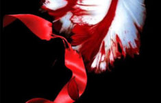 Twilight Saga Printable Bookmarks Twilight Saga Twilight Twilight Movie